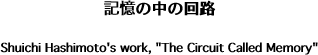  L̒̉H  Shuichi Hashimoto's work, "The Circuit